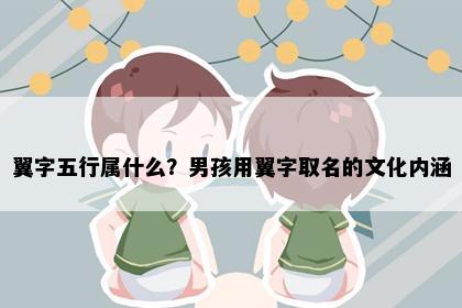 翼字五行属什么？男孩用翼字取名的文化内涵