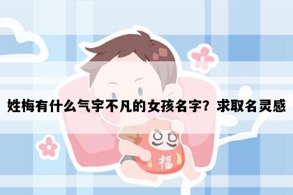 姓梅有什么气宇不凡的女孩名字？求取名灵感