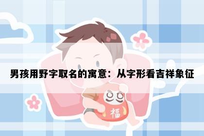 男孩用野字取名的寓意：从字形看吉祥象征