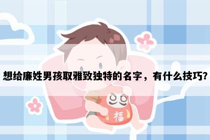 想给廉姓男孩取雅致独特的名字，有什么技巧？