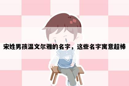 宋姓男孩温文尔雅的名字，这些名字寓意超棒