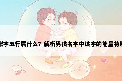 张字五行属什么？解析男孩名字中该字的能量特质