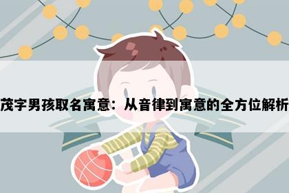 茂字男孩取名寓意：从音律到寓意的全方位解析