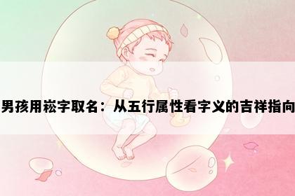 男孩用崧字取名：从五行属性看字义的吉祥指向