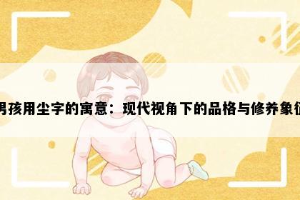 男孩用尘字的寓意：现代视角下的品格与修养象征