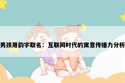 男孩用韵字取名：互联网时代的寓意传播力分析