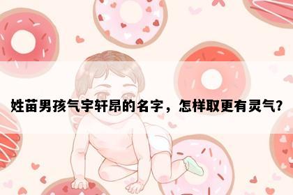 姓苗男孩气宇轩昂的名字，怎样取更有灵气？
