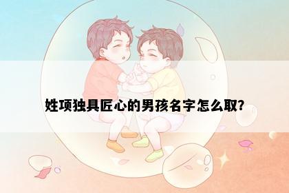 姓项独具匠心的男孩名字怎么取？