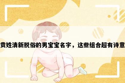 贲姓清新脱俗的男宝宝名字，这些组合超有诗意