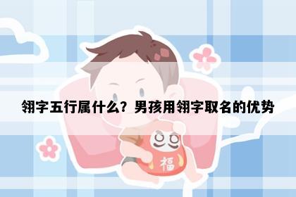 翎字五行属什么？男孩用翎字取名的优势