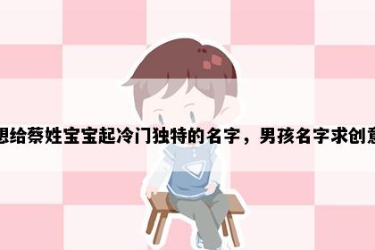 想给蔡姓宝宝起冷门独特的名字，男孩名字求创意