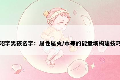 昭字男孩名字：属性属火/木等的能量场构建技巧