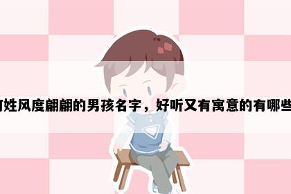何姓风度翩翩的男孩名字，好听又有寓意的有哪些？