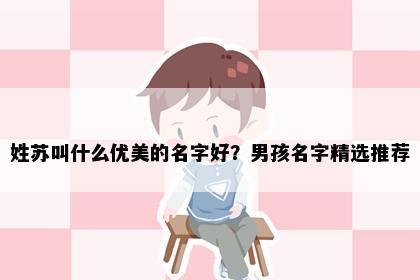 姓苏叫什么优美的名字好？男孩名字精选推荐