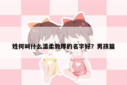姓何叫什么温柔敦厚的名字好？男孩篇
