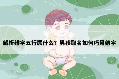 解析维字五行属什么？男孩取名如何巧用维字