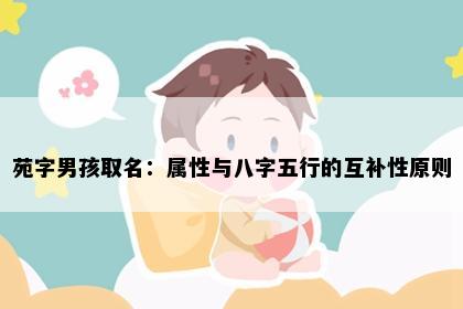 苑字男孩取名：属性与八字五行的互补性原则