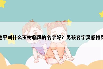 姓平叫什么玉树临风的名字好？男孩名字灵感推荐