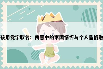 男孩用党字取名：寓意中的家国情怀与个人品格融合