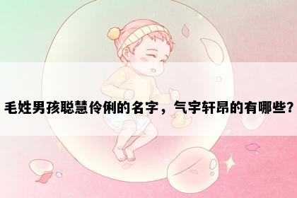 毛姓男孩聪慧伶俐的名字，气宇轩昂的有哪些？